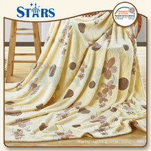 GS-CFBP010 Wholesale Customized stock lot super soft coral fleece blanket